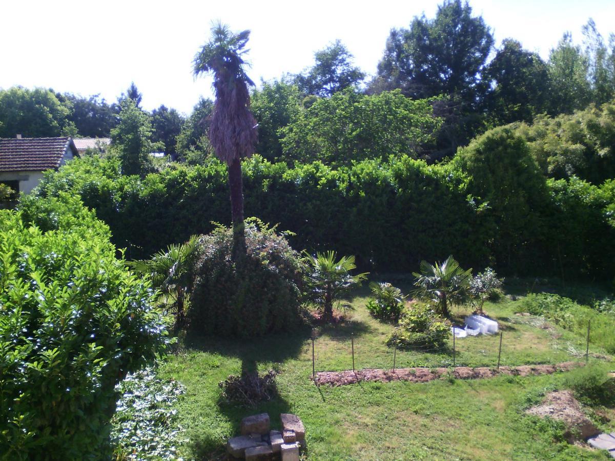 L'Ancien Patronage Konuk evi Caumont-sur-Garonne Dış mekan fotoğraf