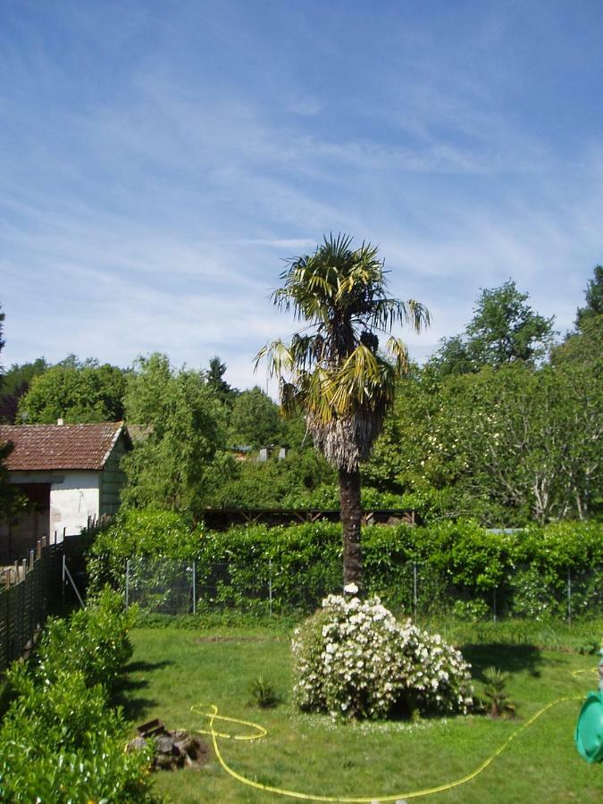 L'Ancien Patronage Konuk evi Caumont-sur-Garonne Dış mekan fotoğraf